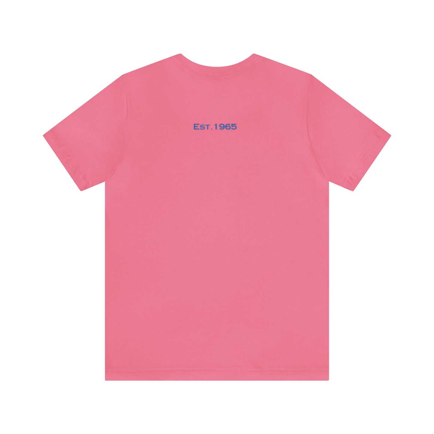 USA 1965 Pickleball T-Shirt